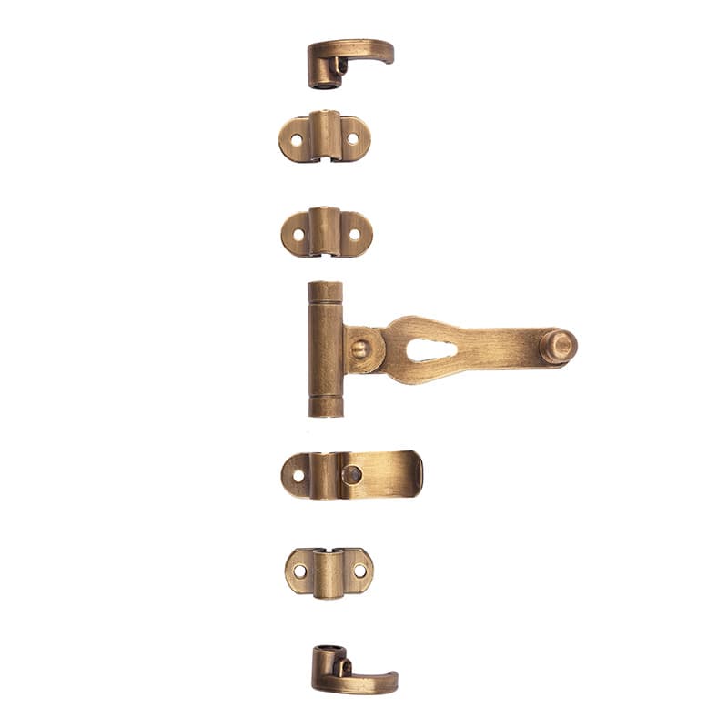 Spagnoletta monoanta in Ottone - Immagine 1